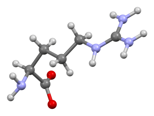 Three-dimensional molecular model of L-arginine