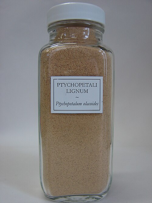 Reference photo of Ptychopetalum olacoides root powder